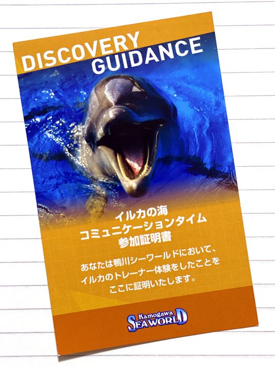 イルカの海コミュニケーションタイムのチケット