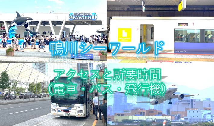 全国版 東京駅と羽田空港から鴨川シーワールドへの行き方 電車 バス 飛行機